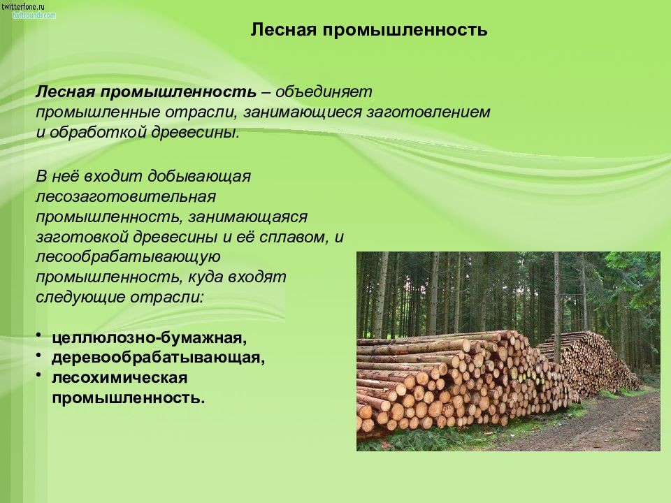 Экономика в лесной отрасли. Лесная, деревообрабатывающая и целлюлозно-бумажная промышленность. Отрасли Лесной и деревообрабатывающей промышленности. Лесная промышленность России. Лесная промышленность презентация.