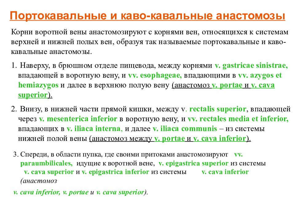 Кава портальные анастомозы. Портокавальные и кавакавальные анастомозы. Портокавальные анастомозы. Кава кавальные и портокавальные анастомозы. Кава кавальные и портокавальные анастомозы анатомия.