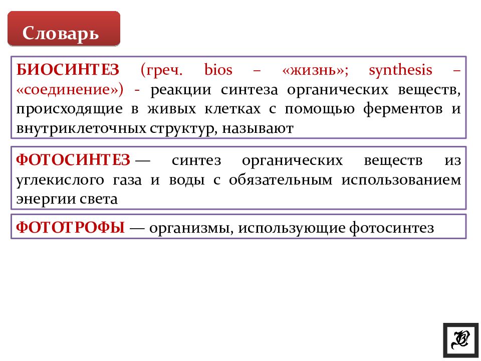 Биосинтез углеводов в организме проект