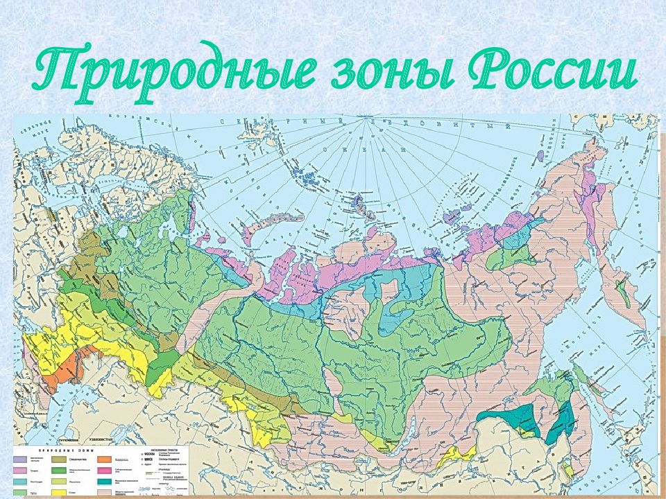 Природные зоны росси