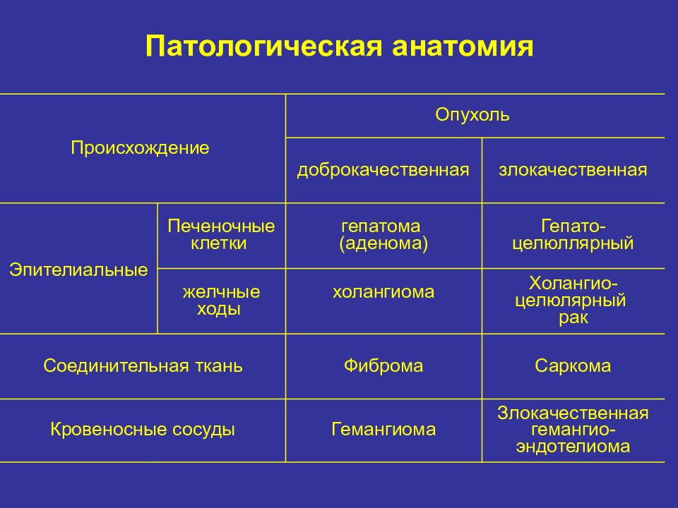 Мезенхимальные опухоли патанатомия презентация