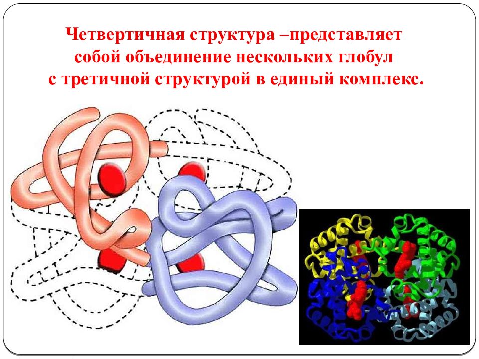 Какая структура белка представлена на картинке