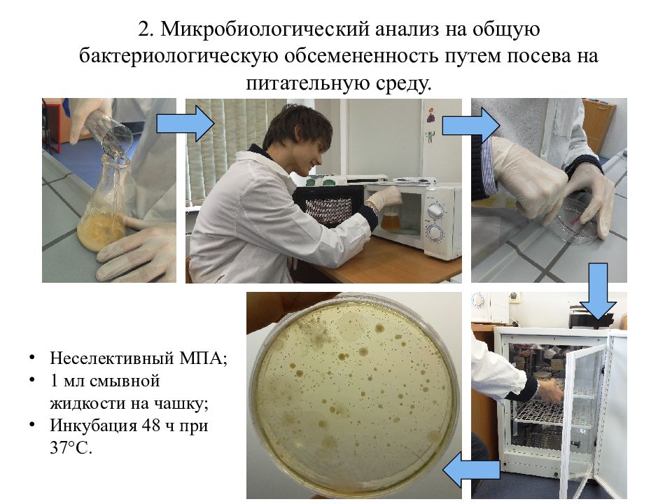 Микробиологическая технология презентация