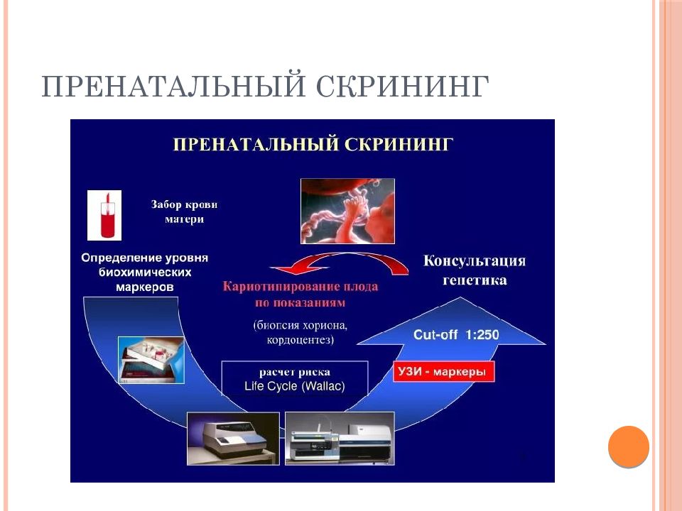 Диагностика беременных презентация