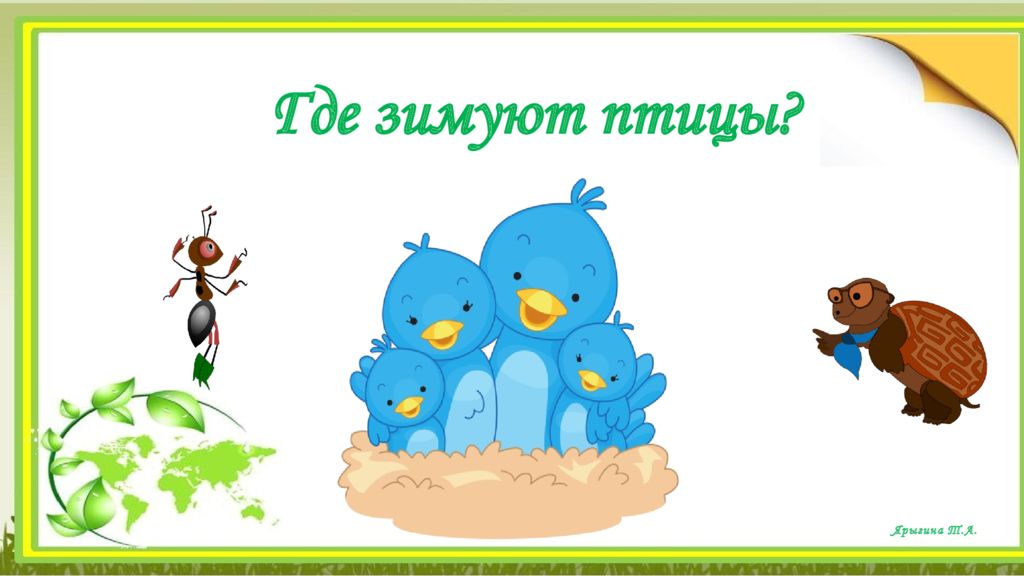Ярыгина Т.А. Где зимуют птицы ?