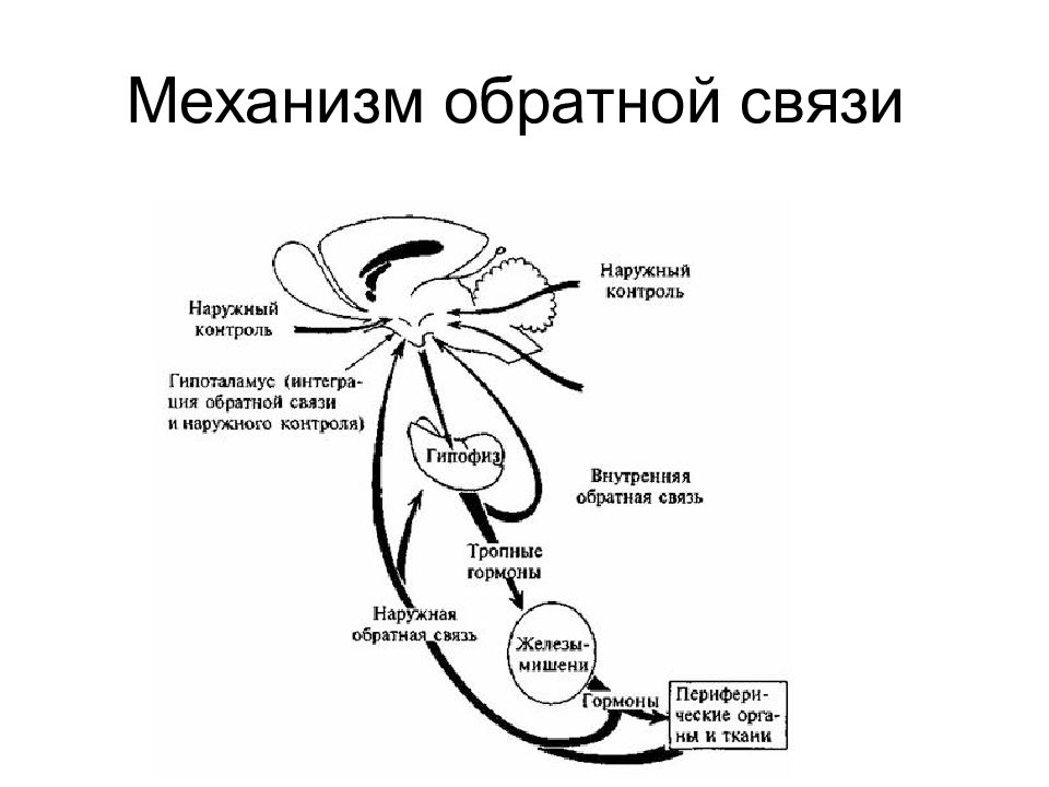 Схема механизма обратной связи