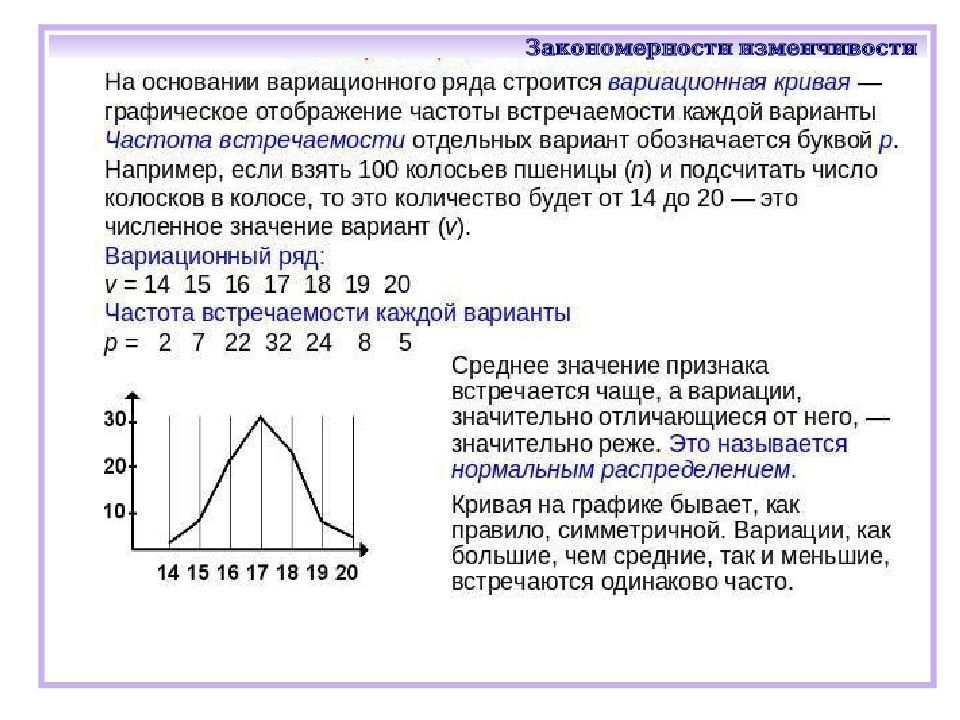 Примеры изменчивых величин. Закономерности изменчивости. Закономерности изменчивост. Тема закономерности изменчивости. Вариационный ряд изменчивости.