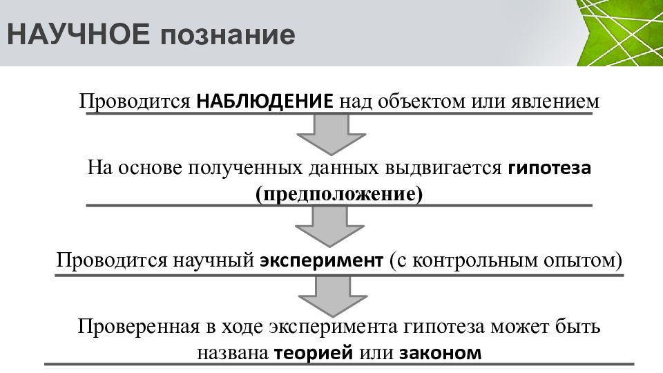 Биология эксперимент гипотеза. Задачи кредитной политики коммерческого банка. Кредитная политика коммерческих банков. Цели кредитной политики банка. Элементы кредитной политики коммерческого банка.