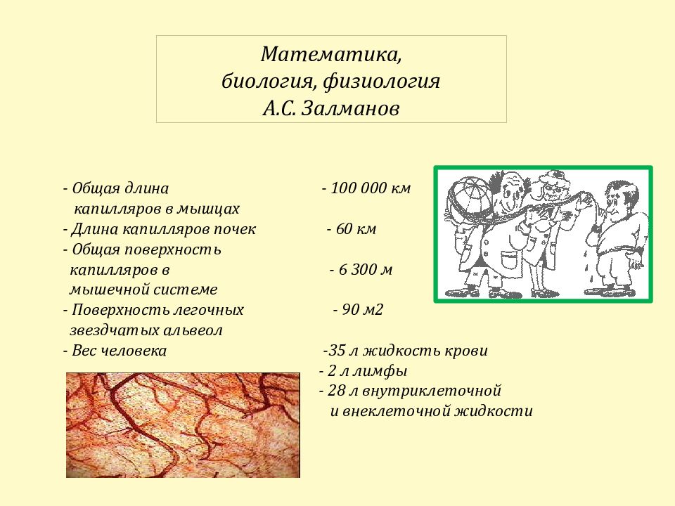 Математика в биологии. Математическая биология. Физиология это в биологии. Как биология связана с математикой.