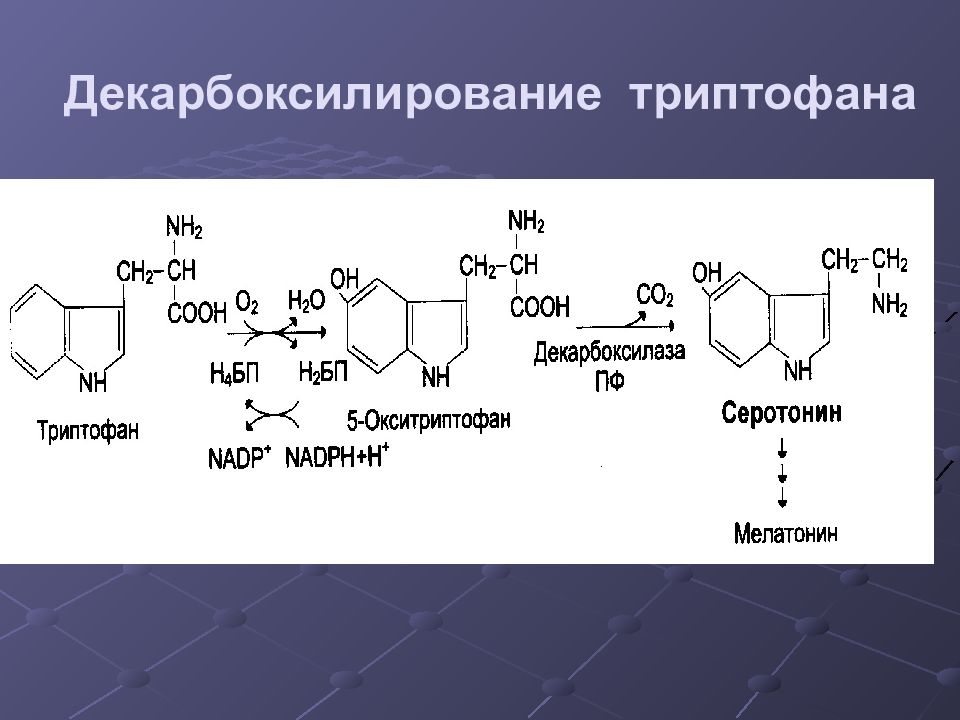 Декарбоксилирование в процессах биосинтеза - Справочник …