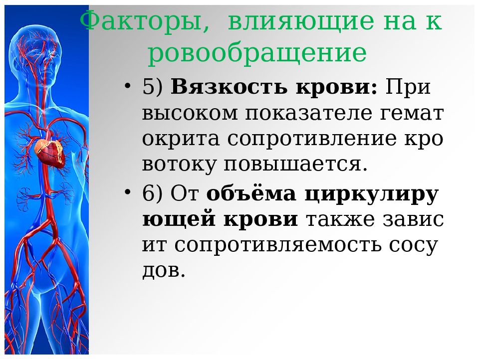 Сердечно сосудистая система презентация на английском языке