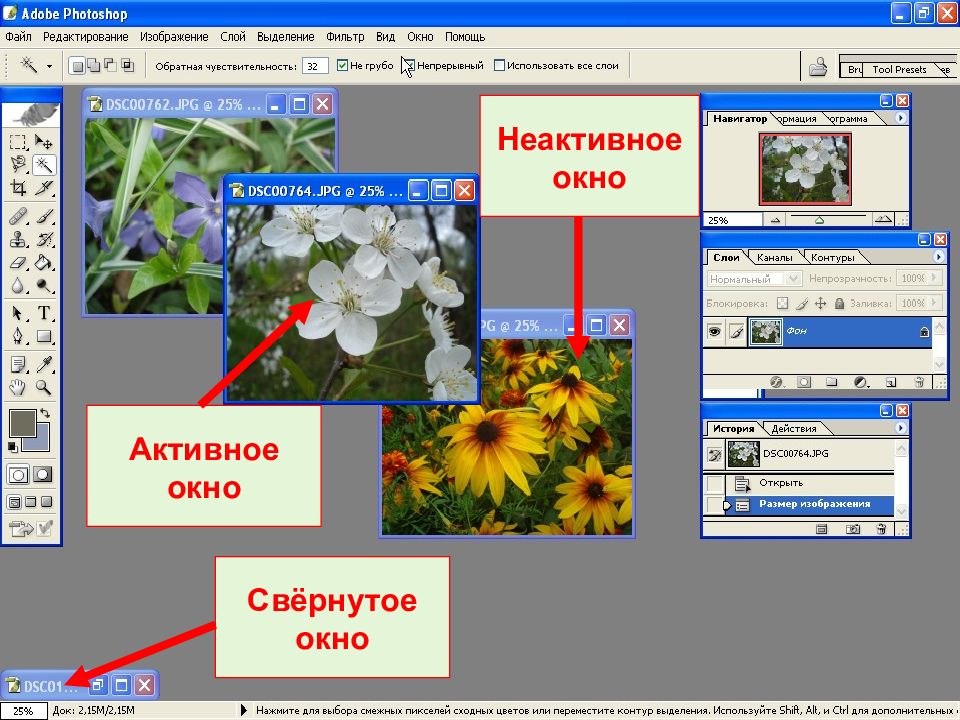 Adobe photoshop является растровым редактором. Активное окно. Окно показ слайдов. Активное окно это в информатике. Активное и НЕАКТИВНОЕ окно.