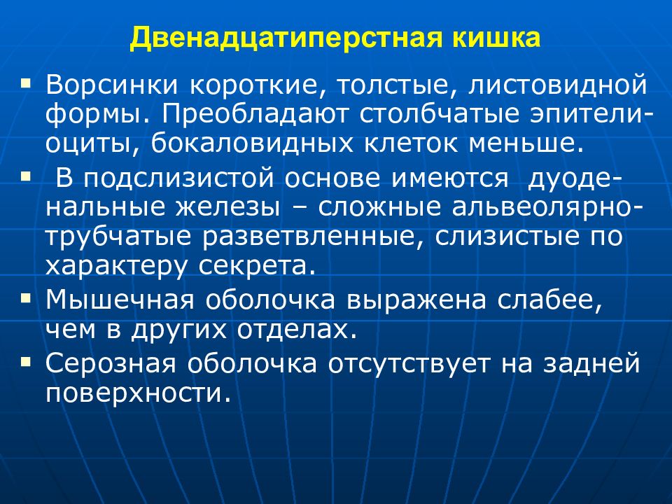 Бокаловидные клетки толстой кишки. Дуоденальные железы в подслизистой основе содержит.