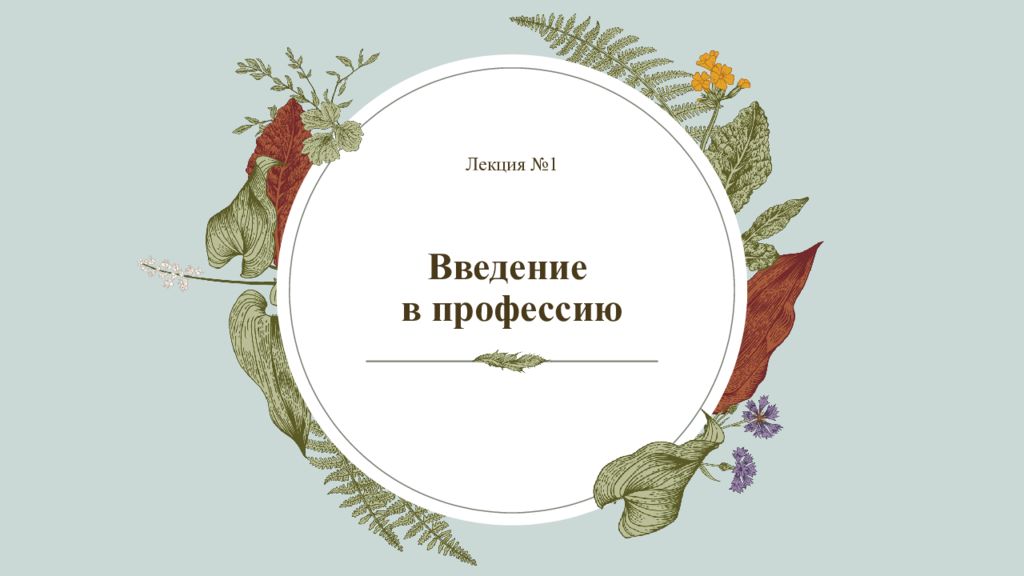 Введение в профессию