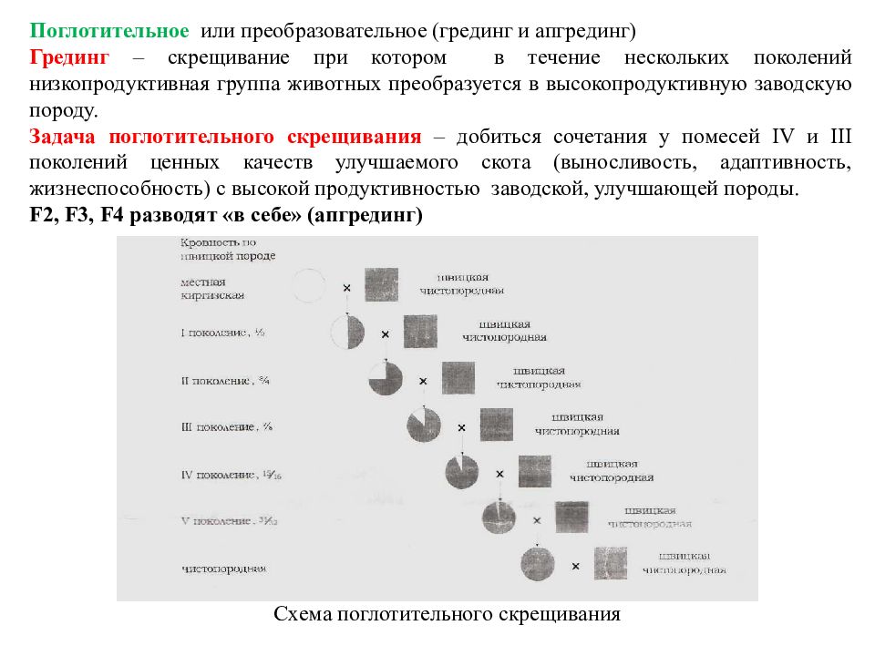 Разведение в себе схема