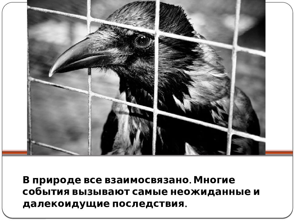 Важность охраны живого мира планеты 5 класс биология проект