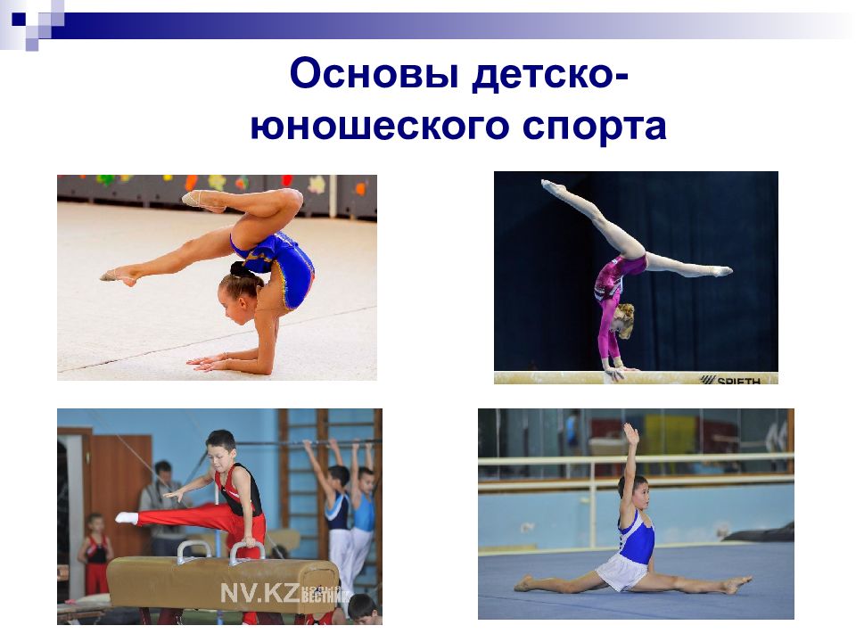 Виды юношеского спорта. Основы юношеского спорта. Детско-юношеская спорт презентация. Слайды основы детско-юношеского спорта. Теория и методика детско-юношеского спорта.
