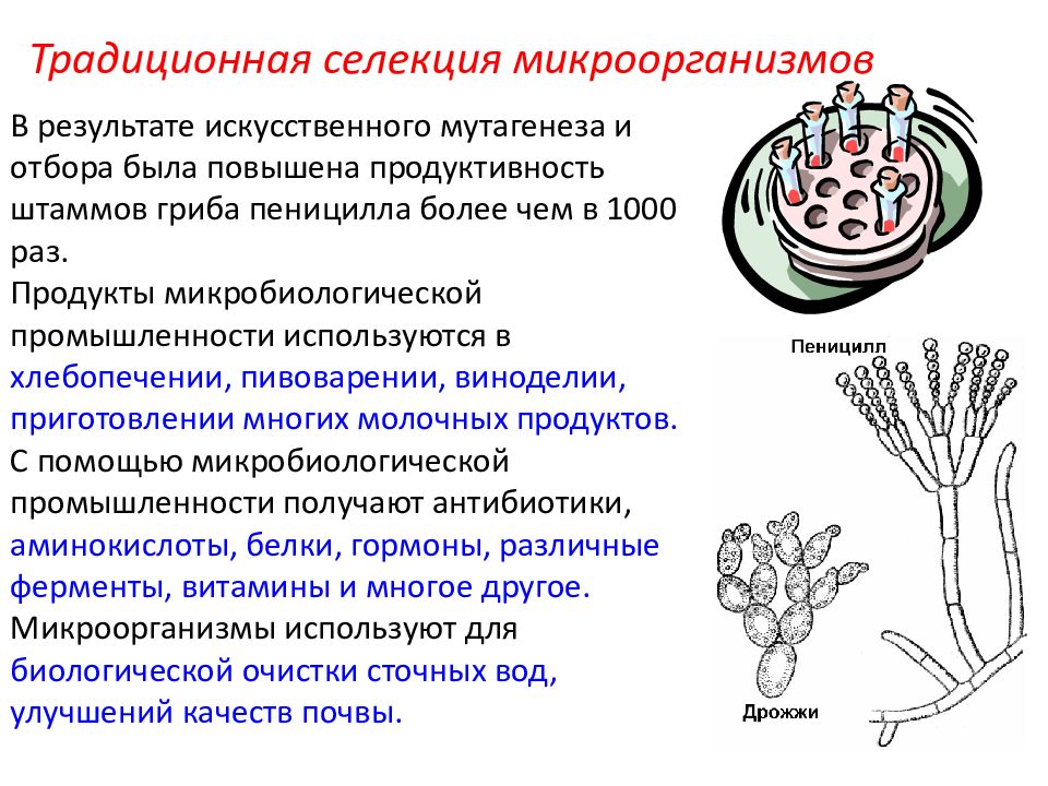 Презентация по искусственному отбору