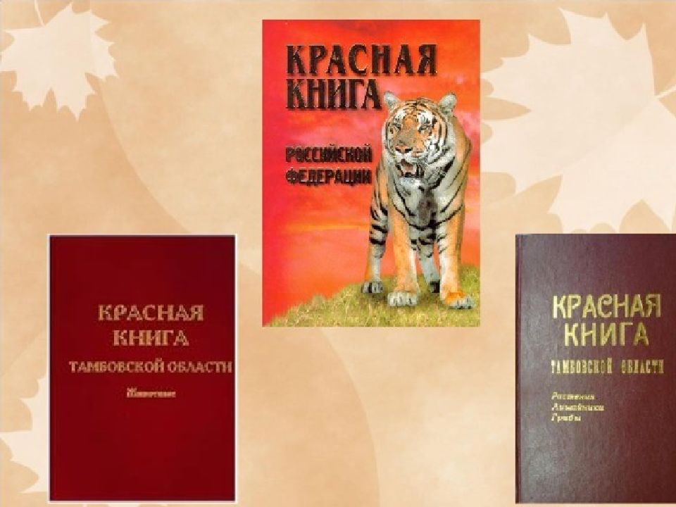 Животные из красной книги тамбовской области картинки