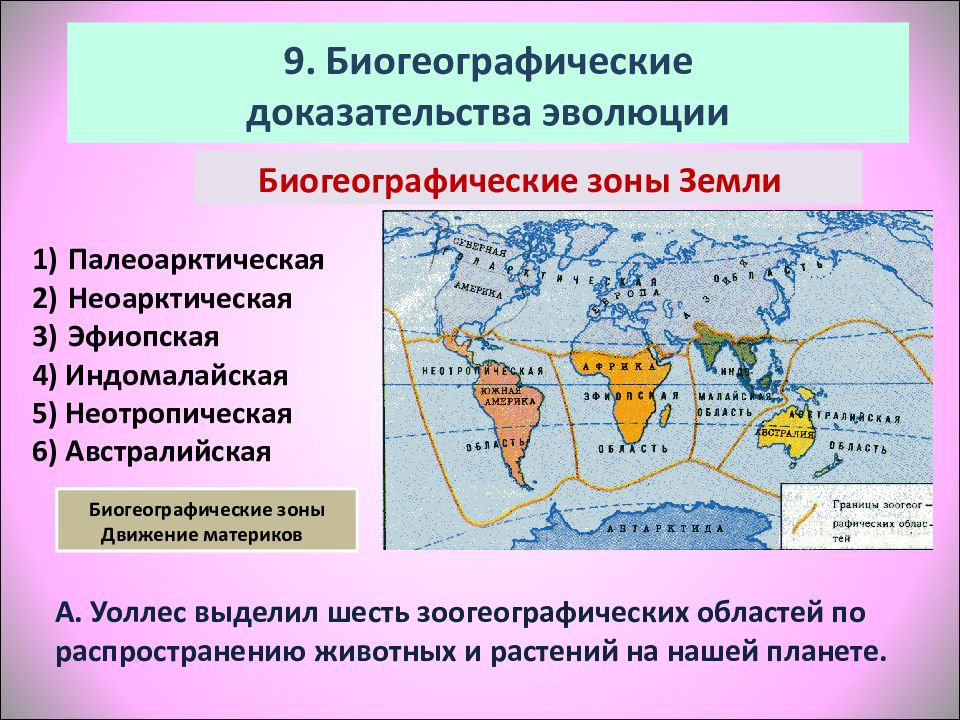 Биогеографические доказательства эволюции картинки