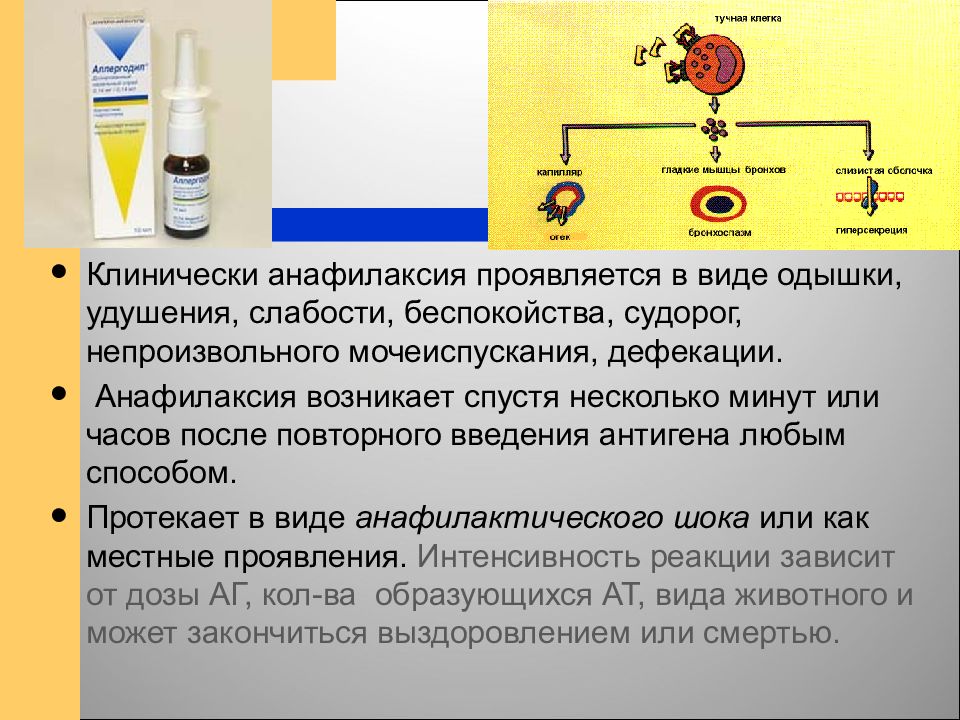 Проявляется в виде. Презентация на тему : основные формы иммунного реагирования.. Методы введения антигенов. Способ введения антигена. Накожный метод введения антигена.