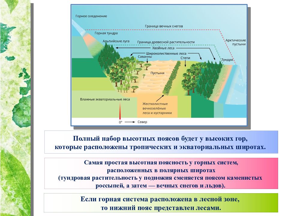 Презентация природные зоны земли 7 класс география полярная звезда