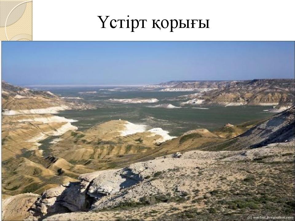 Үстірт қорығы