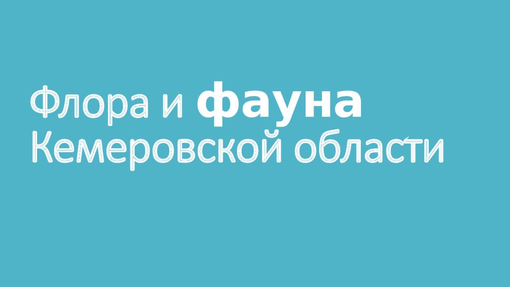Флора и фауна Кемеровской области
