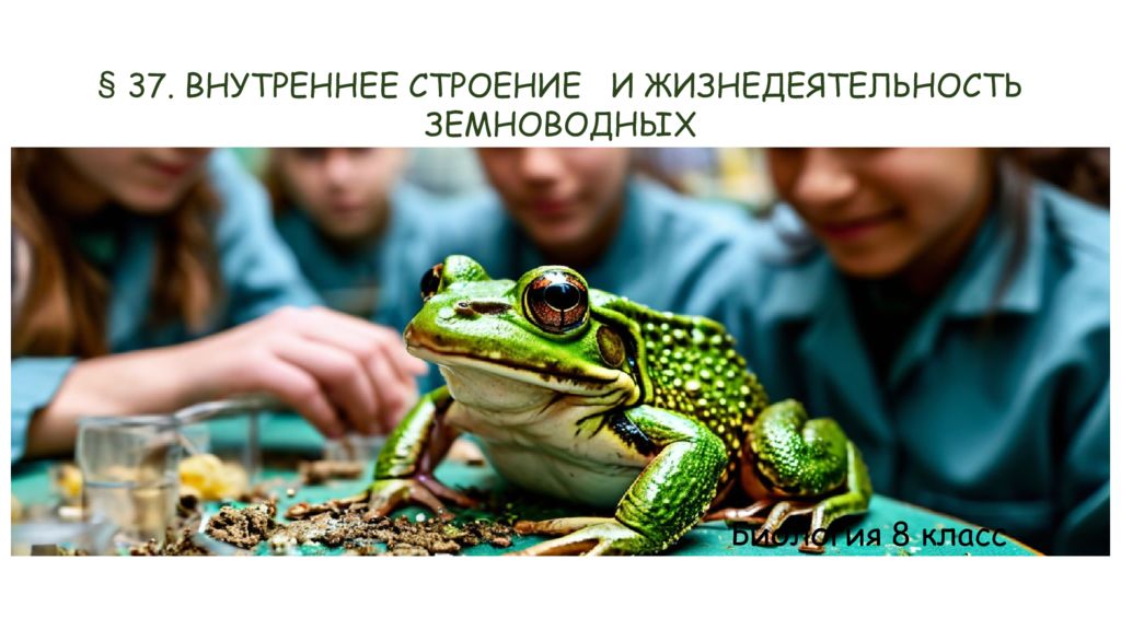 37. ВНУТРЕННЕЕ СТРОЕНИЕ И ЖИЗНЕДЕЯТЕЛЬНОСТЬ ЗЕМНОВОДНЫХ Биология 8 класс