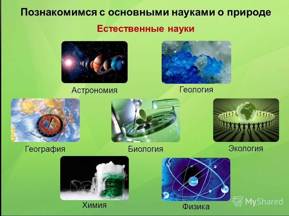 Картинка биология как наука