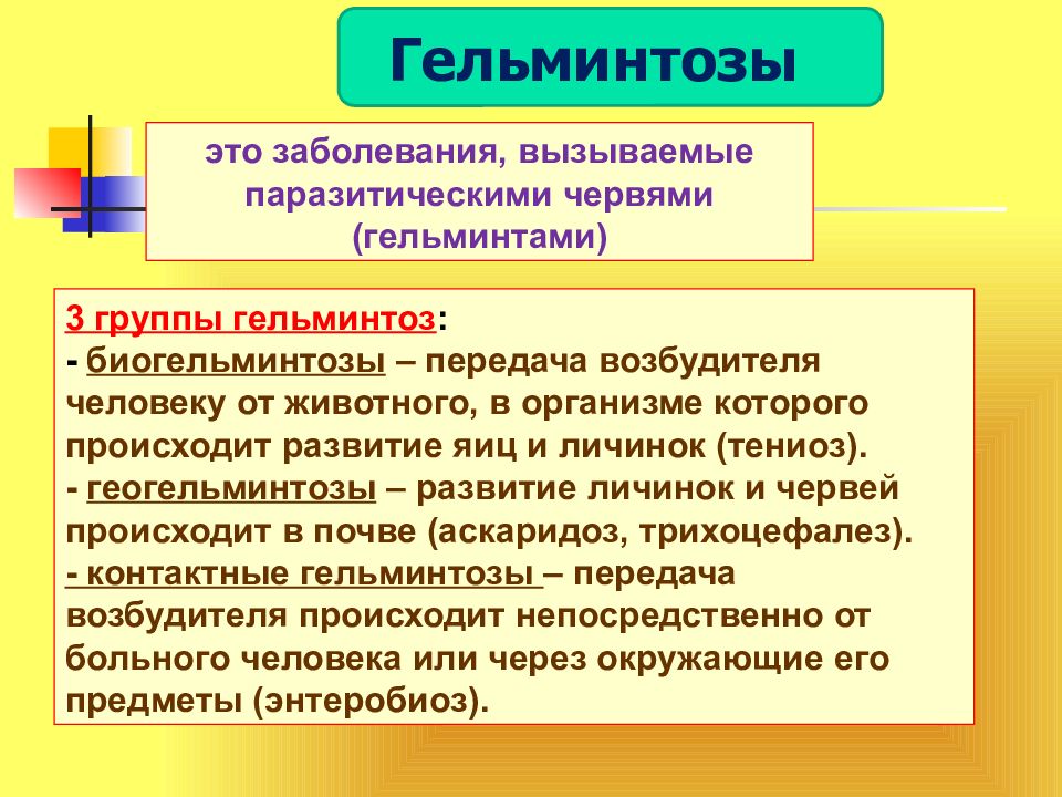 Основа организма. Медико-биологические и социальные основы здоровья. Медико социальные основы здоровья. Физическое здоровье в медико биологических основах здоровья. Картинки медико-биологические и социальные основы здоровья.