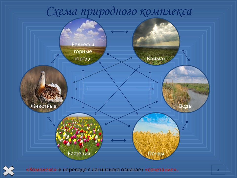 Описать природный комплекс вашей местности по плану 6