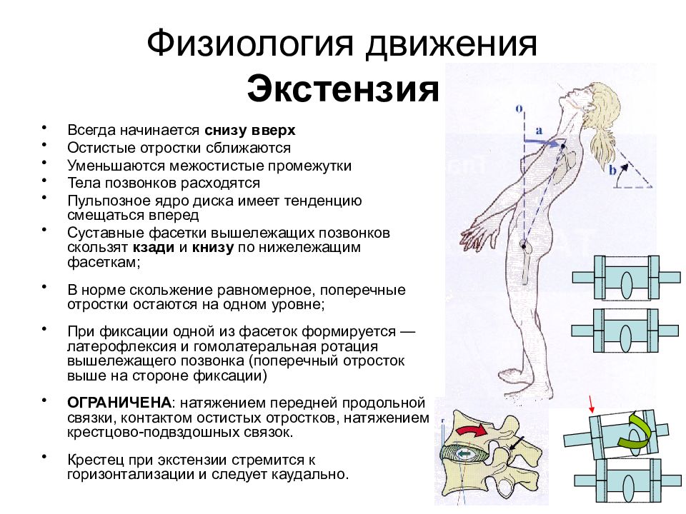 Перемещающие движения в биомеханике презентация