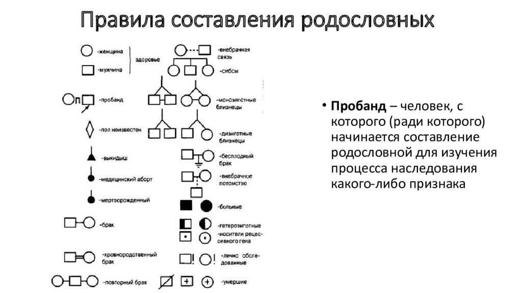 Генеалогический метод исследования презентация