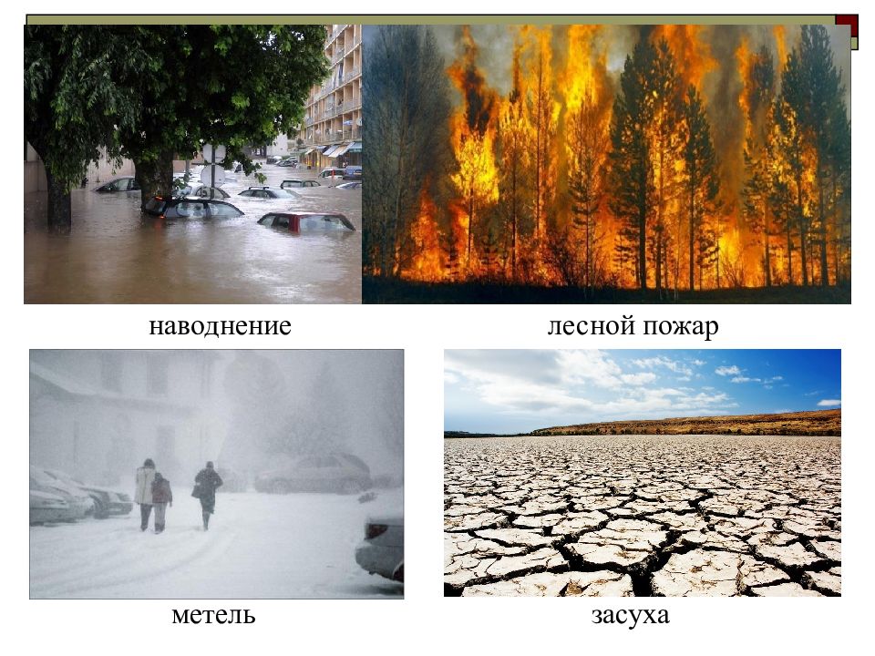 Сигнал тревоги в случае бедствия пожара наводнения. Пожары наводнения. Засуха пожары наводнения. Опасные природные явления засуха. Наводнения Лесные пожары.