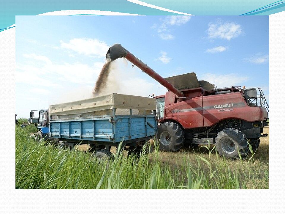 Еңбектің қадірін біл !», «Жұмысшы мамандықтар – еліміздің тірегі»