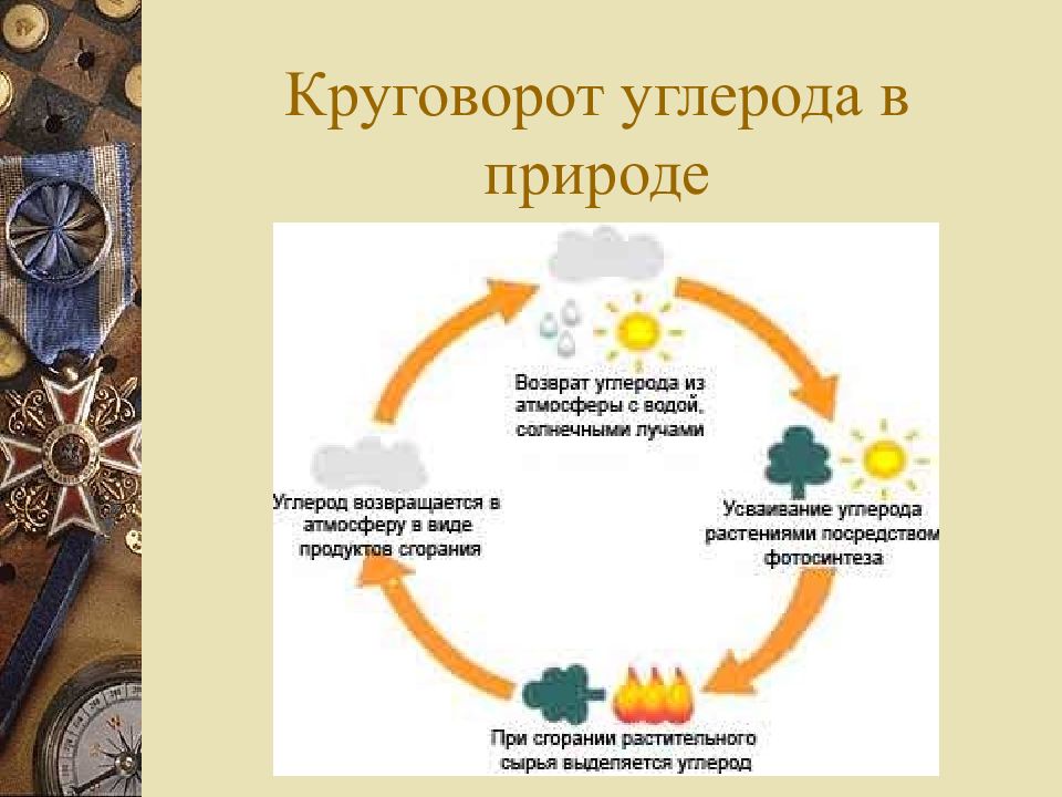 Круговорот углерода в природе схема. Крушовор углевода в природе. Круговорот углерода схема простая. Круговорот углерода в природе. Схема основных этапов круговорота углерода.