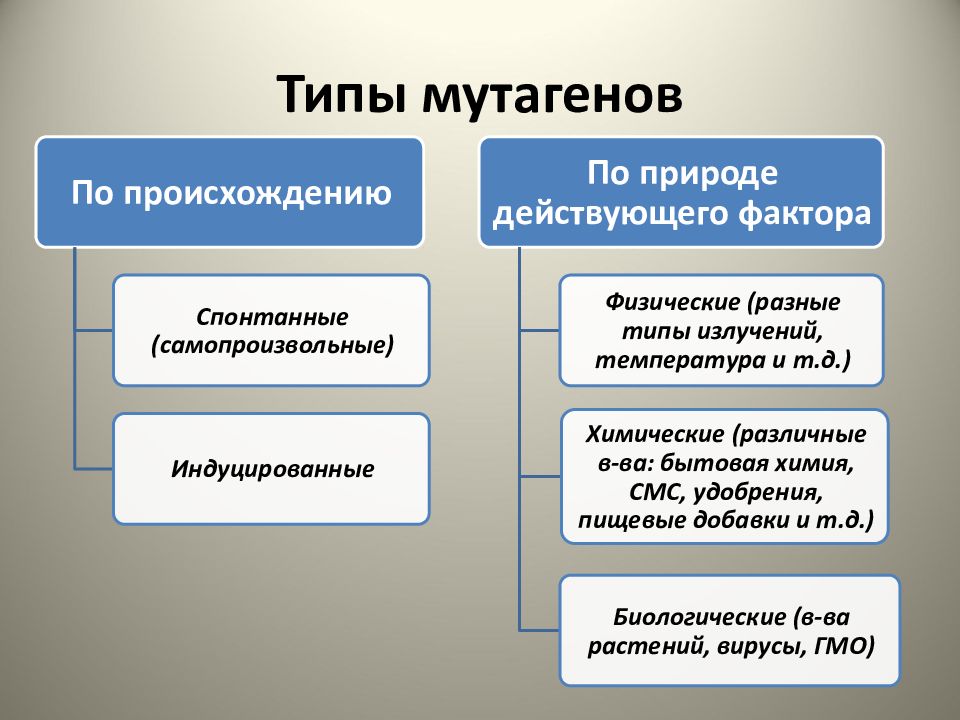 Мутагены их влияние на здоровье человека презентация