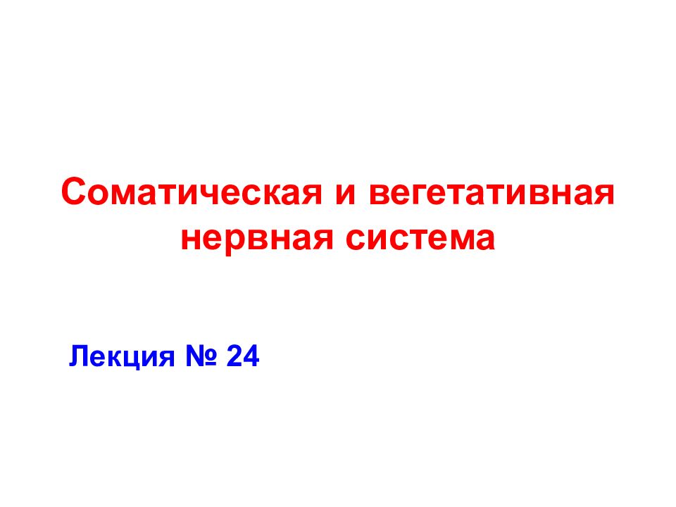Соматическая и вегетативная нервная система