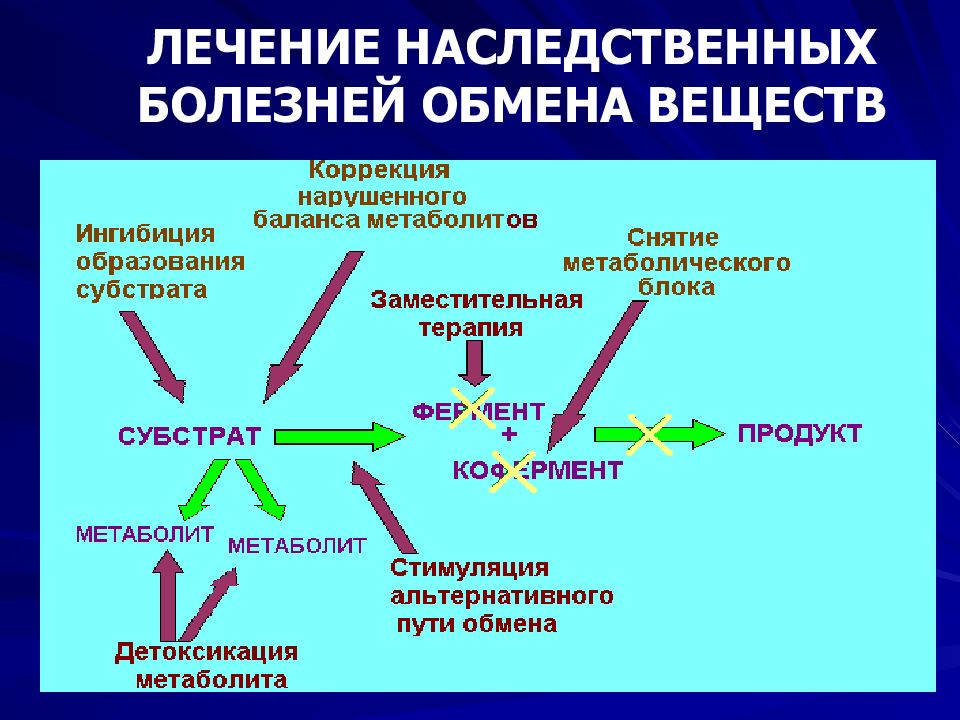 Болезни обмена. Генетические болезни белкового обмена. Лечение наследственных болезней обмена веществ. Наследственные нарушения метаболизма. Механизмы развития наследственных болезней обмена веществ.