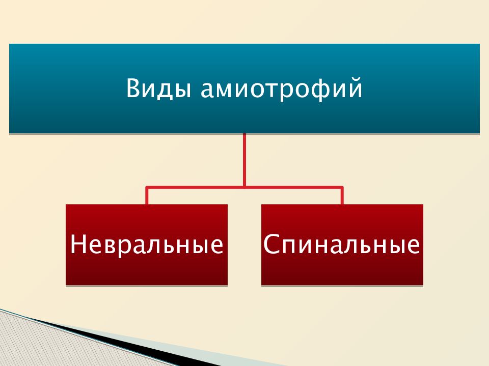 Болезнь шарко мари тута презентация