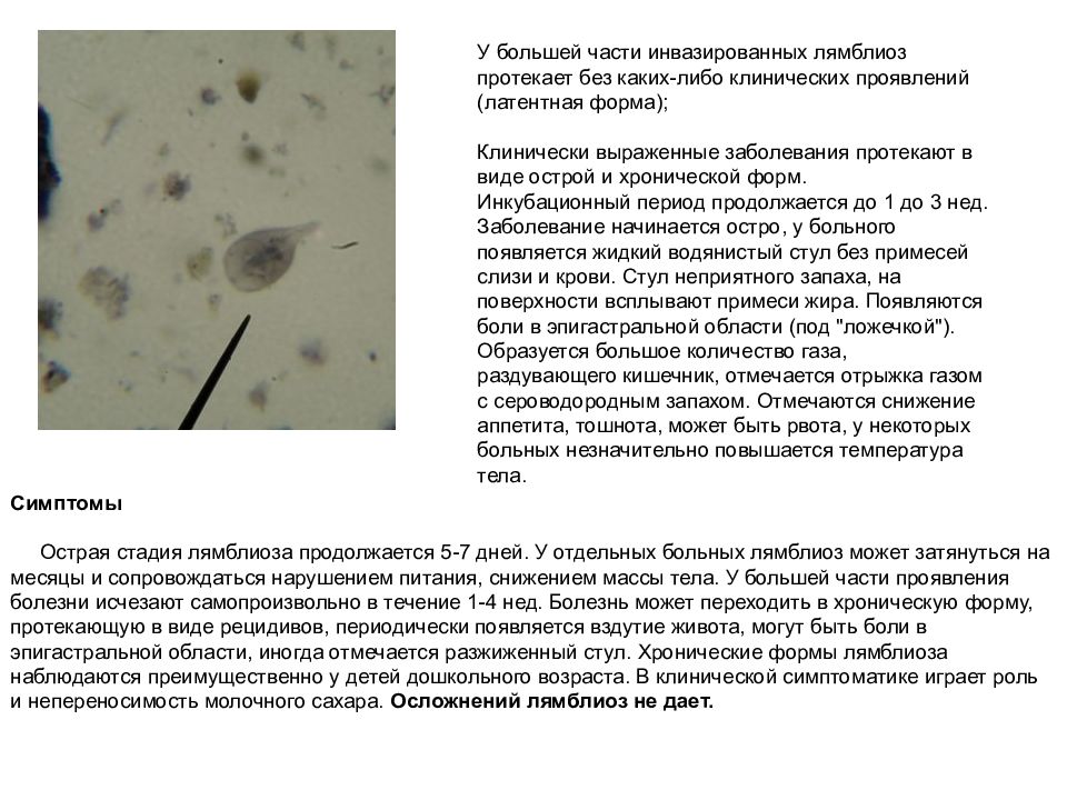 Лямблии у детей симптомы. Лямблиоз инкубационный период. Лямблиоз клинические симптомы. Инкубационный период при лямблиозе. Кишечная форма лямблиоза протекает.