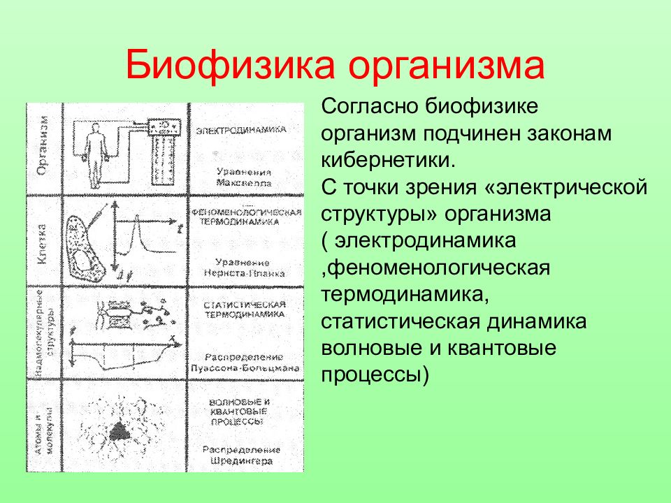 Патологические организмы. Феноменологическая и статистическая термодинамика. Типы соединения сосудов биофизика. Типы проводников биофизика.