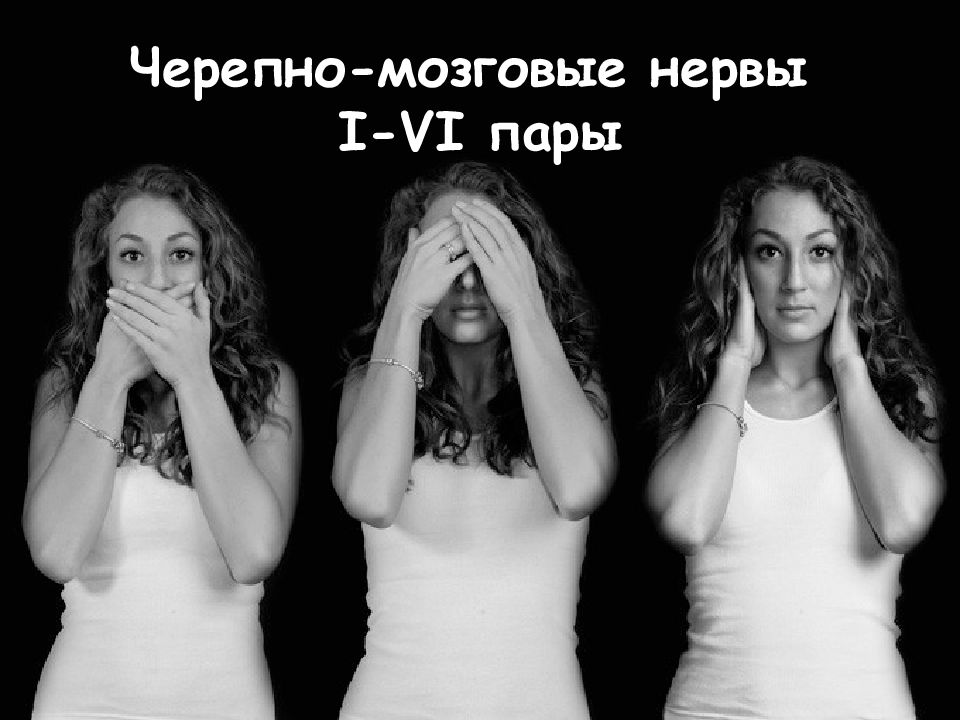 Черепно-мозговые нервы I-VI пары