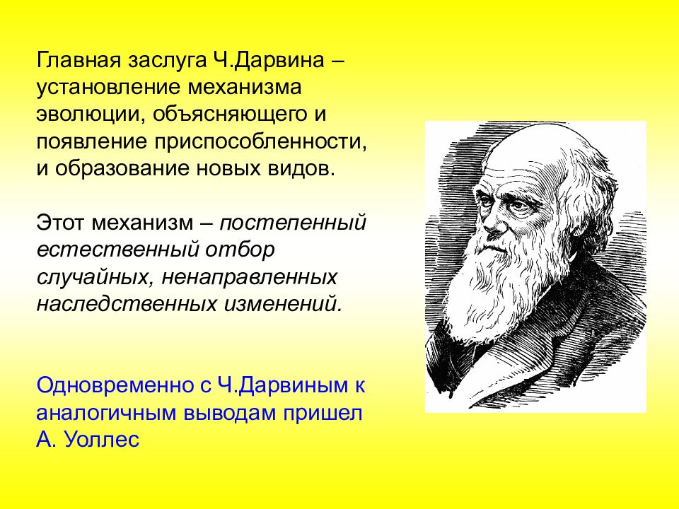 Эволюционное учение дарвина презентация 9 класс