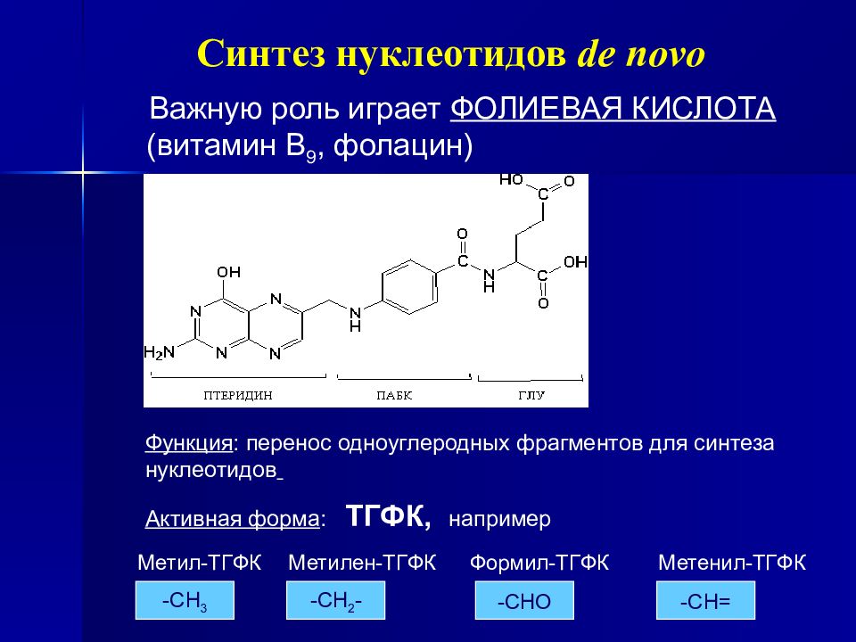 Обмен фолиевой кислоты. Витамин b9 Синтез. Активная форма фолиевой кислоты. Роль фолиевой кислоты в синтезе пуриновых нуклеотидов. Синтез фолиевой кислоты.