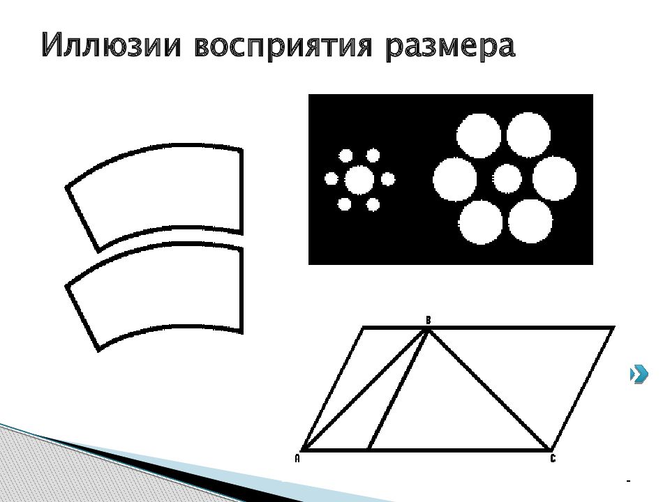 Иллюзия восприятия размера. Оптические иллюзии восприятия размера. Иллюзия восприятия относительных размеров. Иллюзия восприятия величины предметов.