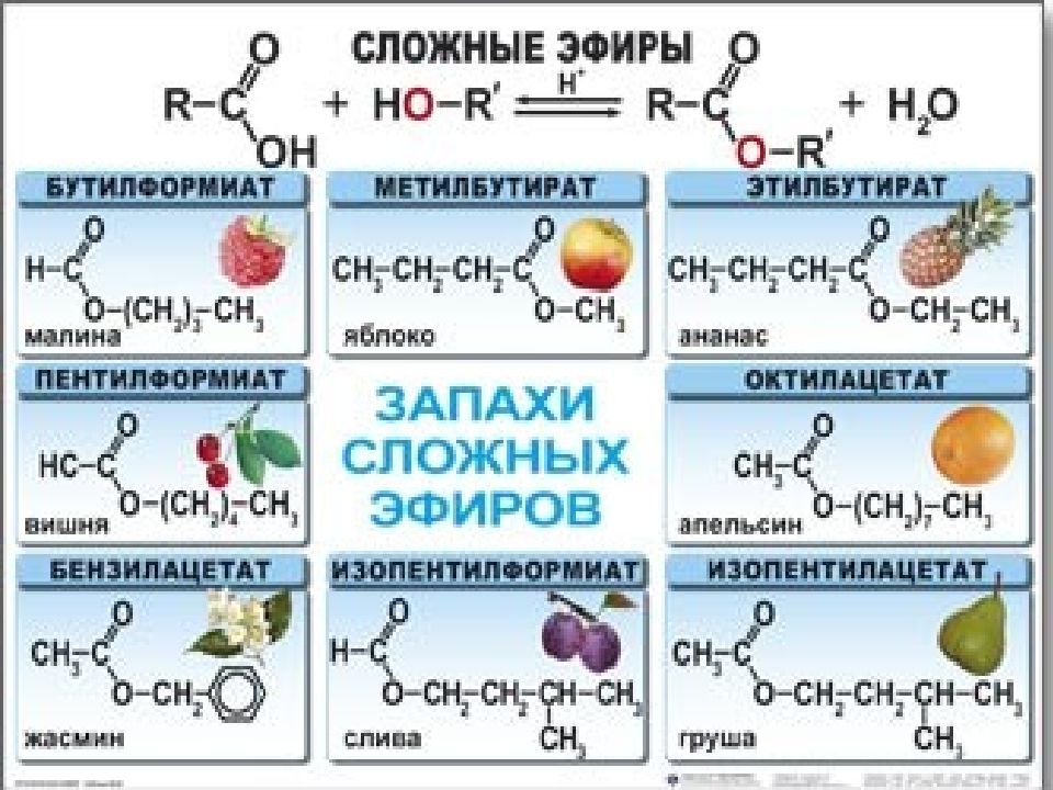 Презентация по теме сложные эфиры 10 класс