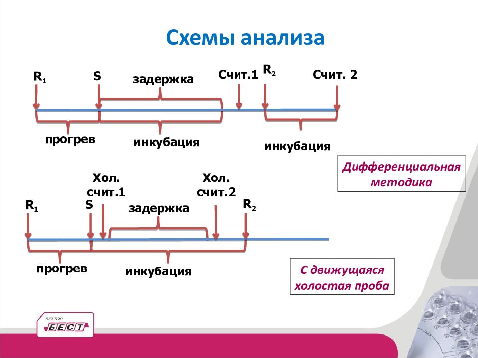 Этапы биохимического исследования. Схема анализа. Биохимический метод схема. Схема диэлектрического анализа. Смешанные задания (биохимия).