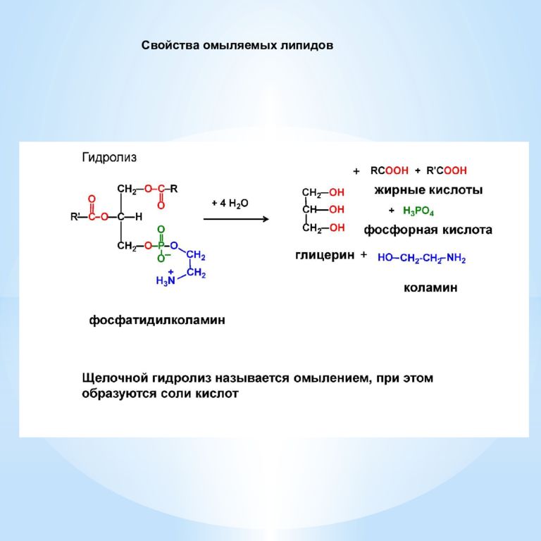 К простым липидам относятся. Омыляемые липиды. Гидролиз омыляемых липидов. Омыляемые липиды химическая структура.